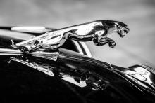 COC Jaguar : un document indispensable pour votre véhicule importé